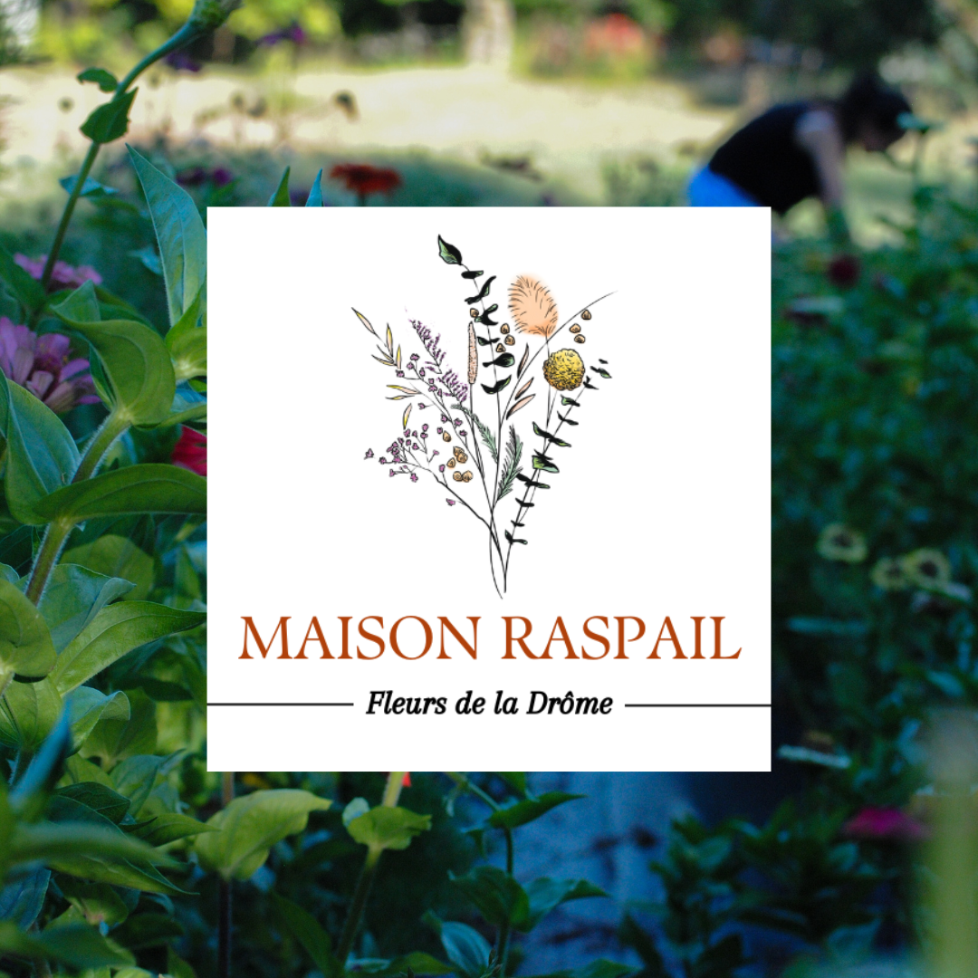 | Maison Raspail